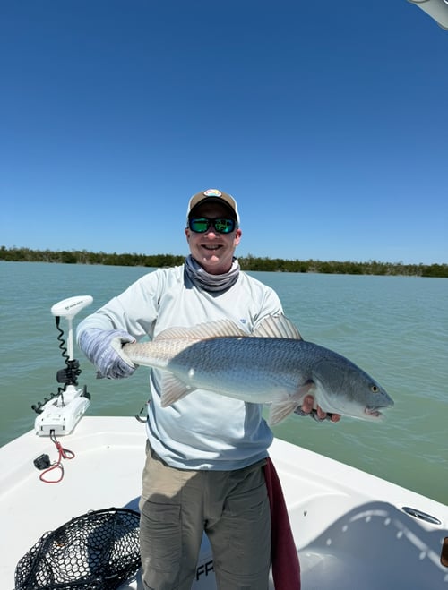 Inshore / Nearshore Morning Trip