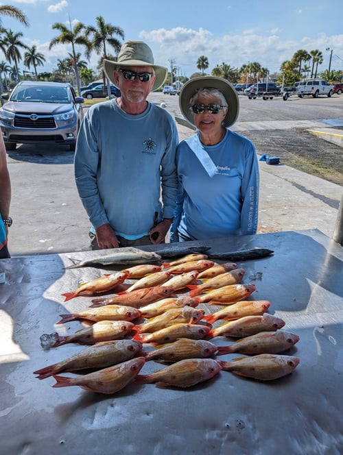 4-8 Hour Offshore Fishing