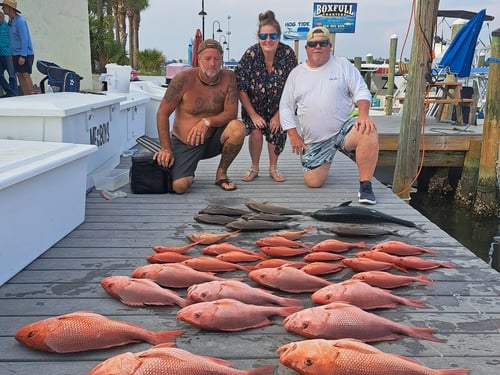 6-10 Hour Trip – Bottom Fishing