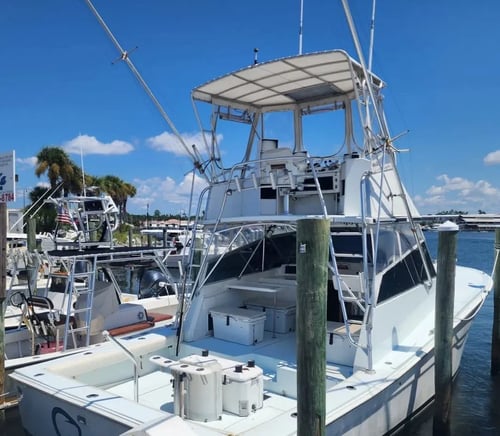 6-10 Hour Trip – Bottom Fishing