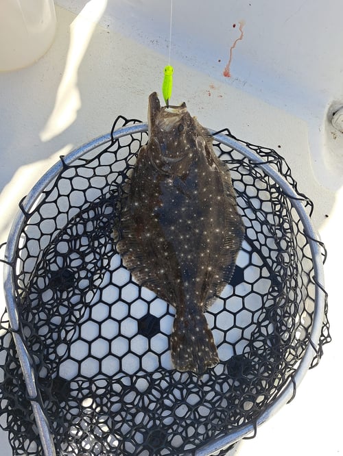 4 Hour Trip – Inshore