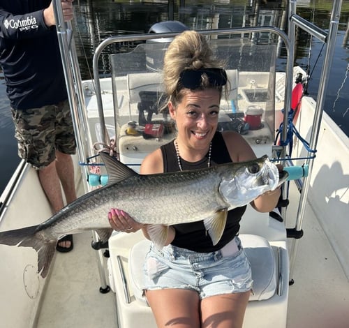 4 to 8 Hour Tarpon Trip