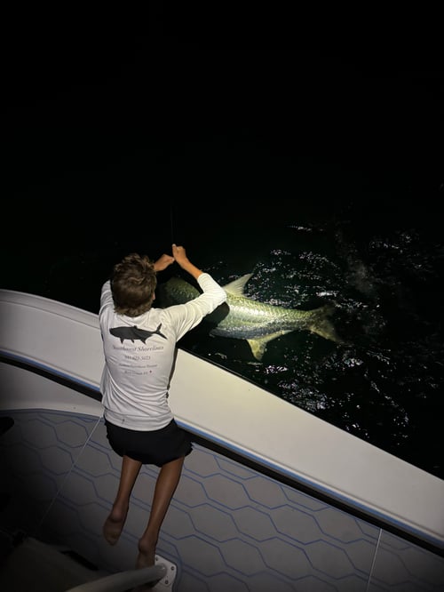 4-8 Hour Tarpon