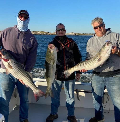 Inshore fishing Trip