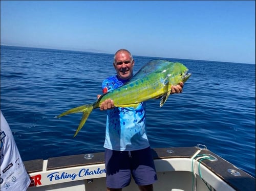 White Marlin - 8 Hour Trip 