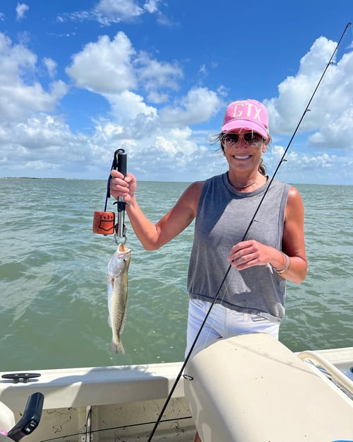 22' Whaler Inshore
