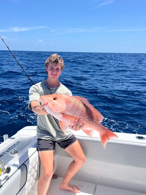 Livin' Charters