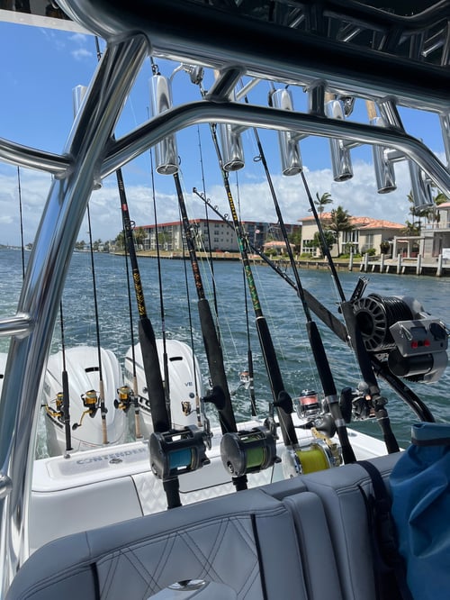 Livin' Charters