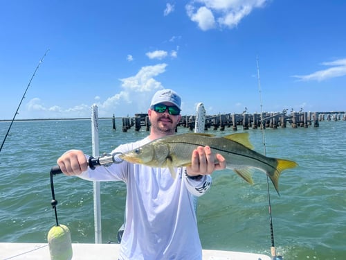4-8 Hour Trip – Inshore