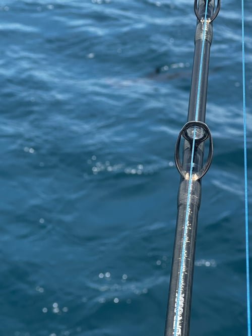 Fish the Retribution