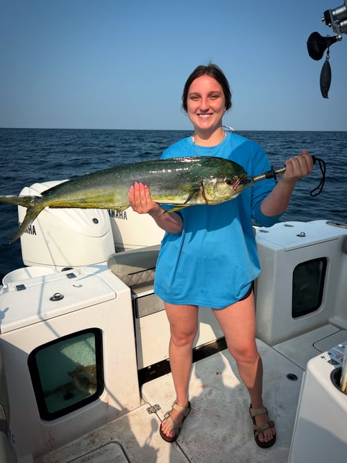 6 Hour Trolling Trip