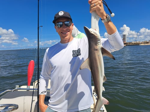 St. Petersburg Inshore Trip