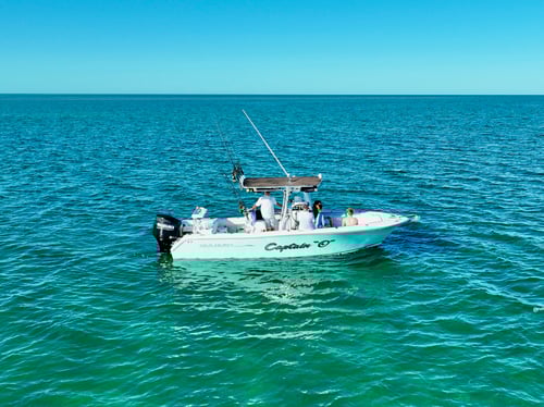 A Bucket of Fishing Fun