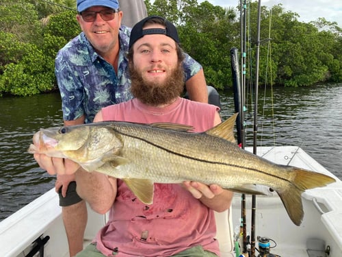 4-6 Hour Trip – Backcountry