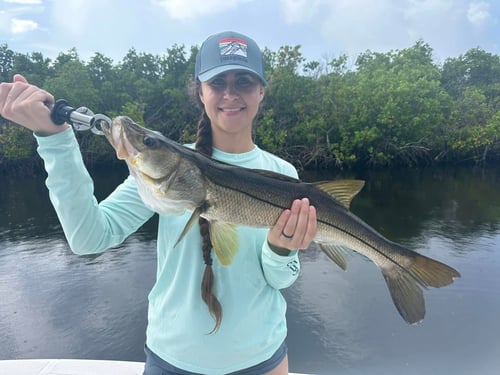 4-6 Hour Trip – Backcountry