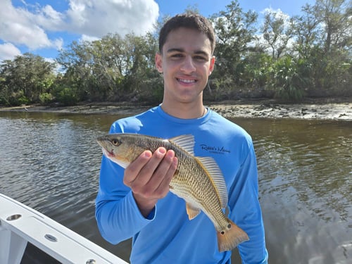 4-6 Hour Trip – Backcountry