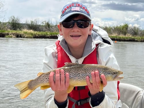 Snake River Full or Half Day Floats