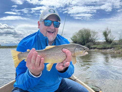 Salt Water Full or Half Day