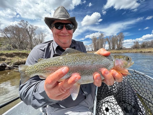 Salt Water Full or Half Day