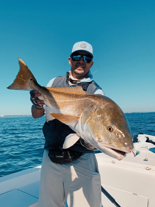 Inshore Fishing Trip