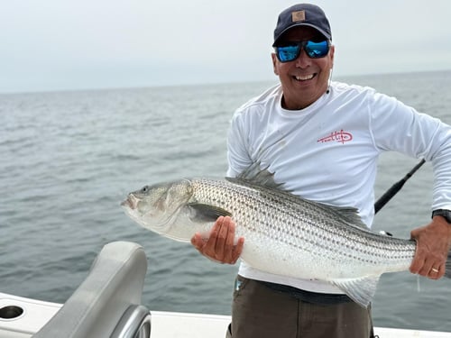 Reel In The Memories
