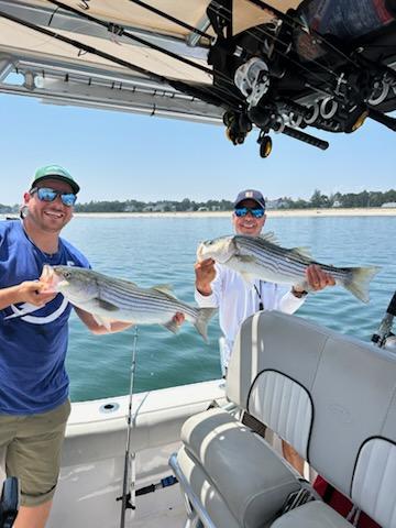 Reel In The Memories