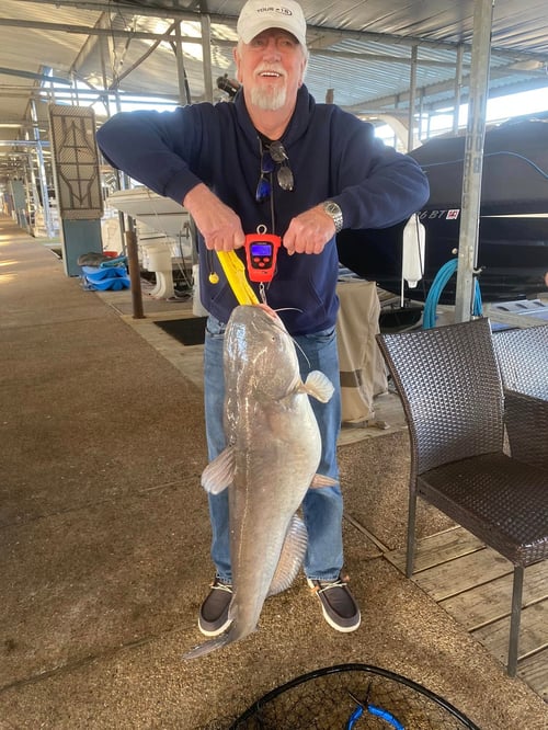 Half Day Catfish Fishing