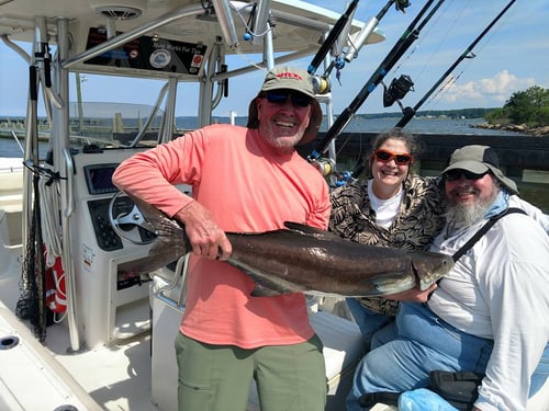 3/4 Day Trip–Cobia/Mackerel