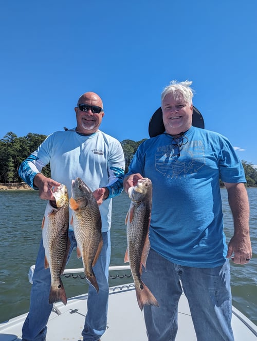 Half Day Trip – Backcountry 