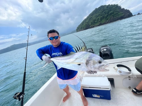 Fishing trips full day 