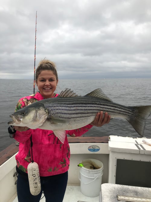 Striped Bass , Raritan Bay & Ocean