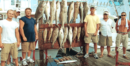 Half Day Trip - 44' Custom