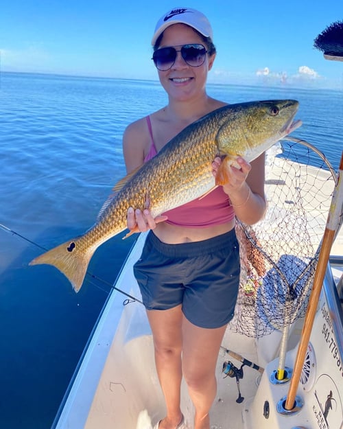 4-6 Hour Inshore Trip