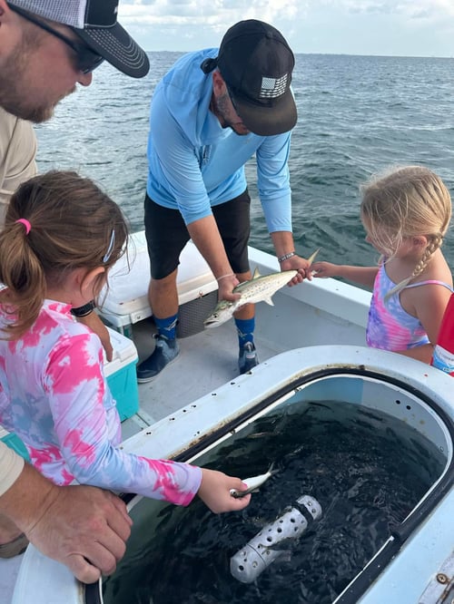 4-6 Hour Inshore Trip