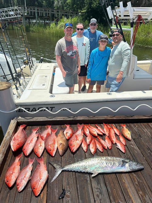 4-6Hr Trip - The Blazer