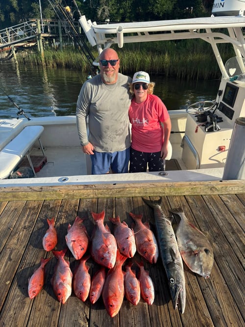 4-8Hr Trip - The Ameracat