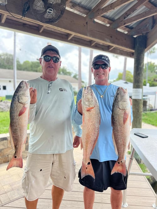 4-7 Hour Inshore Fishing Trips