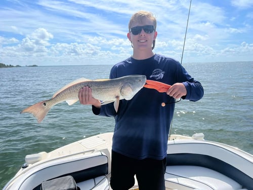 4-7 Hour Inshore Fishing Trips