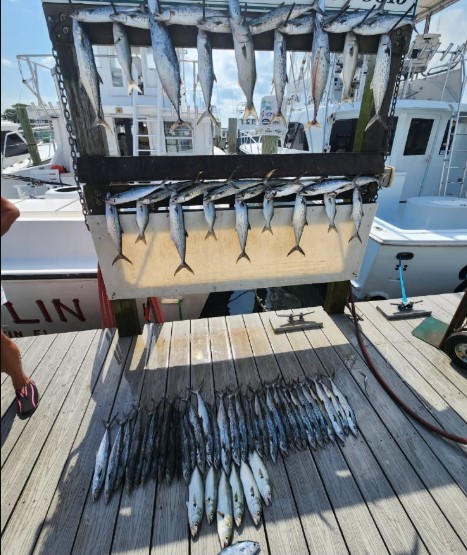 Destin Full-Day Fish Fest