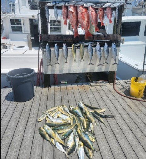 Destin Full-Day Fish Fest