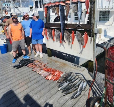 Destin Full-Day Fish Fest