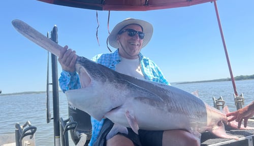 Paddlefish Trip