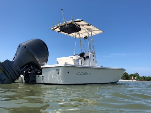 Afternoon Inshore / Nearshore Trip