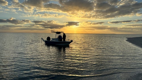 Afternoon Inshore / Nearshore Trip
