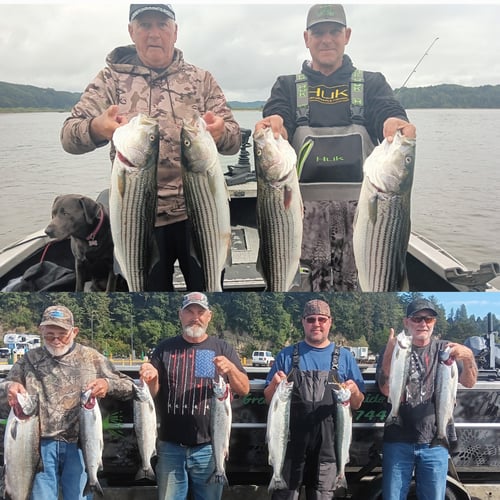 Striped Bass trips