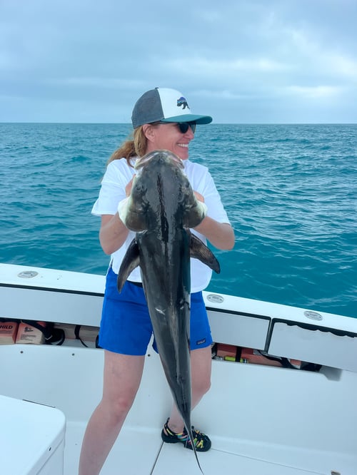 Full day Offshore Fishing