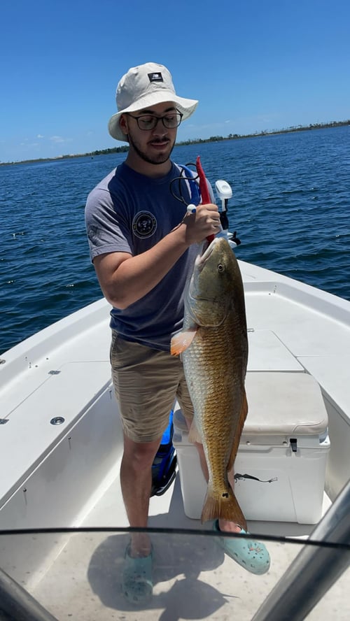 4 Hour Trip – Inshore