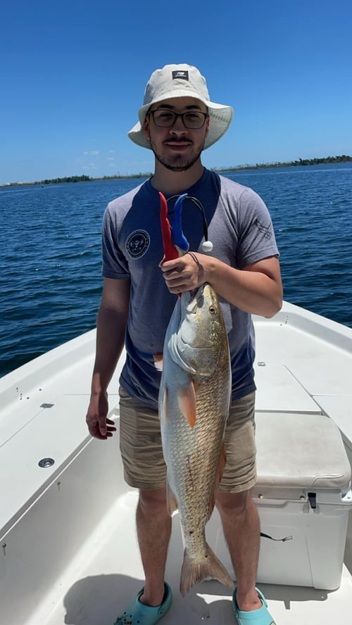 4 Hour Trip – Inshore