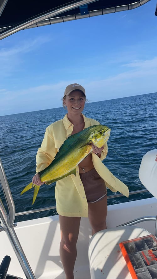4-8 Hour Trip – Offshore