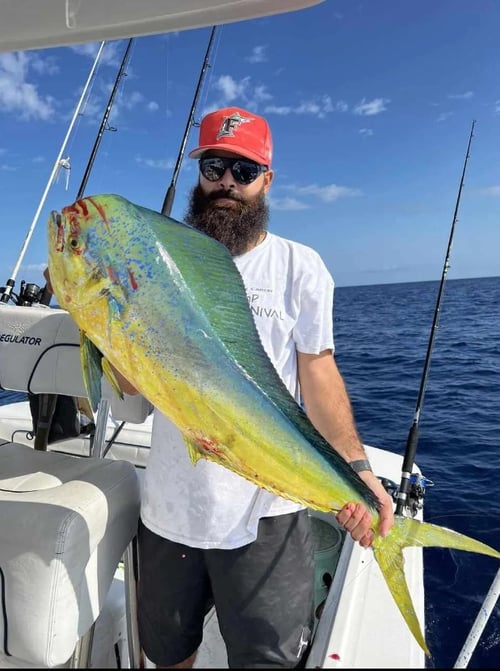4-8 Hour Trip - Offshore